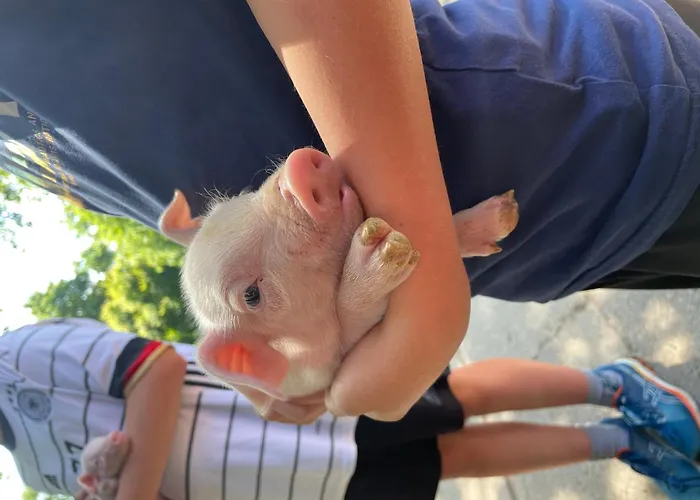 Hof Brockmann - Spieker Neuenkirchen (Heidekreis)